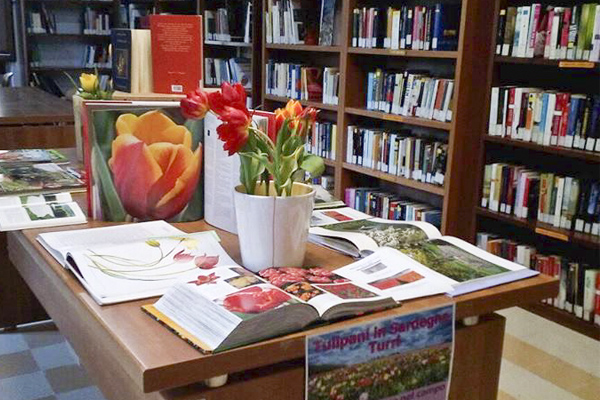 BIBLIOTECA