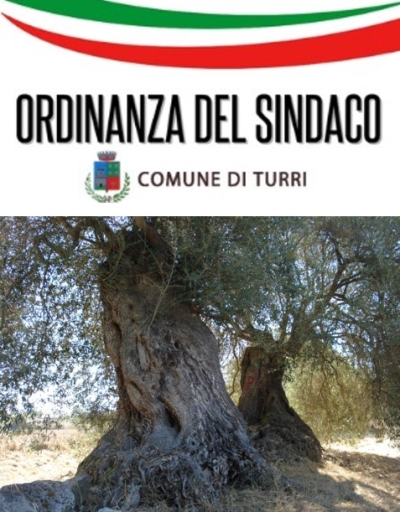 Tutela e valorizzazione del patrimonio olivicolo di valore ambientale