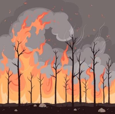 Avviso preventivo di sensibilizzazione rischio incendi boschivi